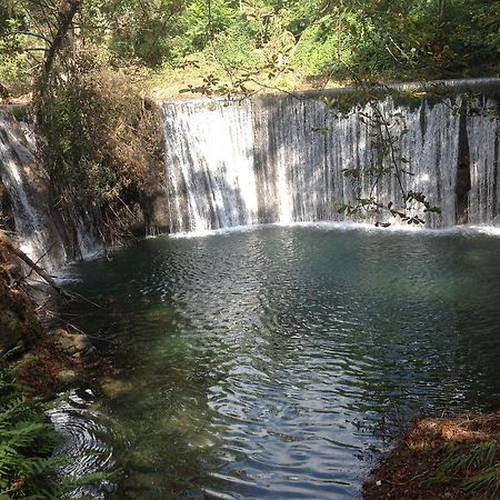 L'Ecrin D'Osely Panzió Lodève Kültér fotó