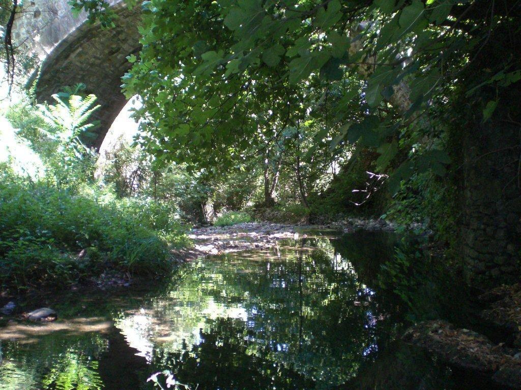 L'Ecrin D'Osely Panzió Lodève Kültér fotó