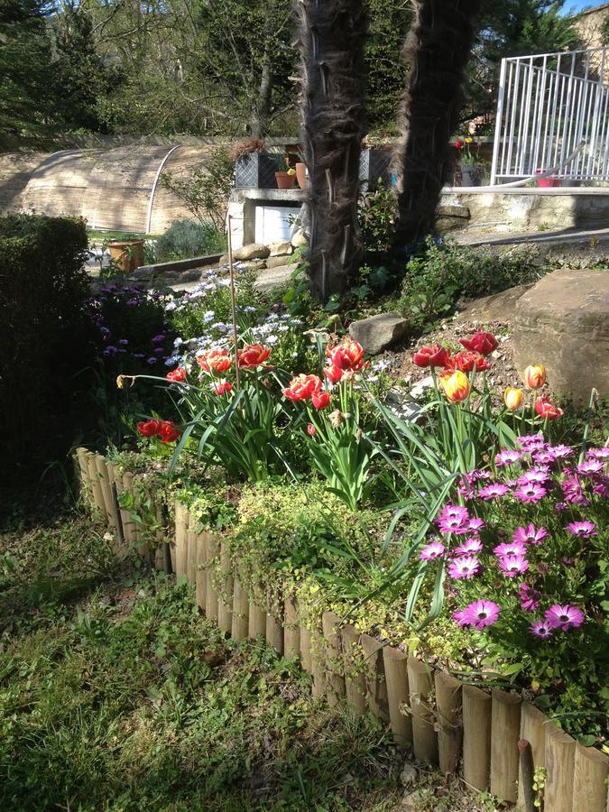 L'Ecrin D'Osely Panzió Lodève Kültér fotó