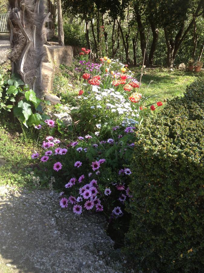 L'Ecrin D'Osely Panzió Lodève Kültér fotó